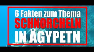 6 Fakten zum Thema Schnorcheln in Ägypten [upl. by Leavitt11]