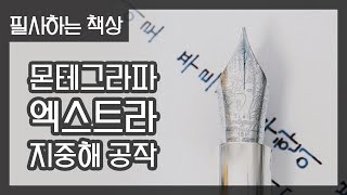 푸르른 무한이 보였다 몬테그라파 엑스트라 F닙 만년필로 필사하기 [upl. by Nnawaj]