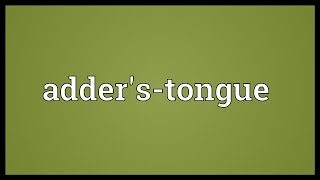 Adderstongue Meaning [upl. by Bucky]