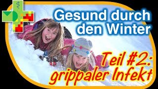 Grippaler Infekt  Therapie Tipps und Tricks [upl. by Olav726]