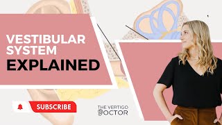 Vestibular System Explained  The Vertigo Doctor [upl. by Esiocnarf578]