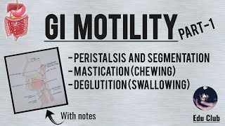 GI Motility Part  1  Chewing Reflex  Deglutition  Gastrointestinal Physiology [upl. by Ynez]