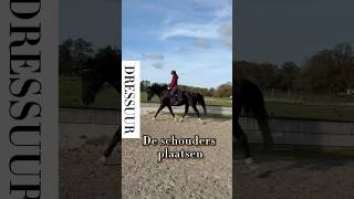 Recht richten in draf op de volte horsetraining horse horsetrainer horseriding paard [upl. by Jodi907]