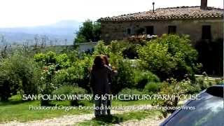 Wine Tour In Tuscany [upl. by Llyrat961]