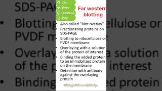 Far western blotting  techniques western blottingbpl shorts [upl. by Carmelo]