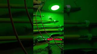 Green LED light 220 volt AC studio room vital short [upl. by Kleiman47]