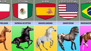 Horse Breeds [upl. by Bible]