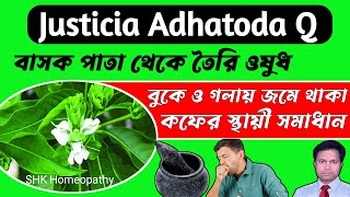 Justicia Adhatoda Q homeopathy medicine Bangla  Justicia Adhatoda 30 usesJusticia homeopathy । [upl. by Gavrah]