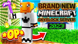 BRAND NEW MINECRAFT SKYBLOCK SERVER 2023   Minecraft Skyblock Server Java  Bedrock Edition [upl. by Nazler]