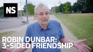 Robin Dunbar What threesided football tells us about friendship [upl. by Mctyre]