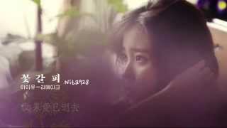 中字  IU  如果愛已逝去사랑이 지나가면When a Love Passes [upl. by Wolgast]