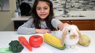 Kids Play with Food Toys HZHtube kids fun [upl. by Aser]