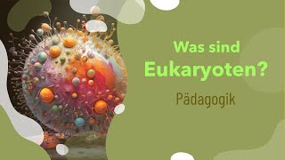 Was sind Eukaryoten  Aufbau  Beispiele  Menschen  Ribosomen  Größe  Zellwand  Funktion [upl. by Ashley]