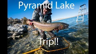 Fly Fishing Pyramid Lake The Fly Dudes Vlog 6 [upl. by Urina174]