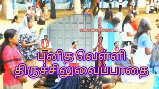 live புனித வெள்ளி திருச்சிலுவைப்பாதை தியானம் சில்லாலை புனித கதி்ரை மாதா ஆலயம் [upl. by Ecinwahs]