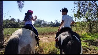 CRIANÇA ANDANDO DE CAVALO CAVALGANDO E FAZENDO TRILHA COM NOSSOS CAVALOS MANGALARGA MARCHADOR [upl. by Gladine]