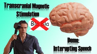 Disrupting Speech with Transcranial Magnetic Stimulation TMS [upl. by Nuahs]