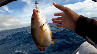 Catching Coral Reef Fish on Softbait  Mauritius EP 13 [upl. by Rachele]