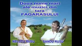 NELUTU RUSU amp SANDU RUSU  INSTRUMENTALA [upl. by Akenal]