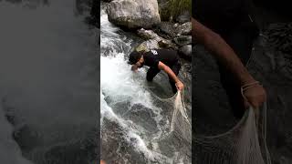 Net Fishing in Crowded Stream  Unexpected No Catch in Fast Water Adventure fishing ytshorts [upl. by Lolanthe]