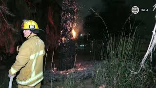 Canoga Park Arsonist Strikes Again [upl. by Amuh552]