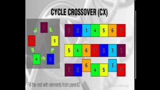 Cycle Crossover  CX  Genetic Algorithms [upl. by Letnoj]