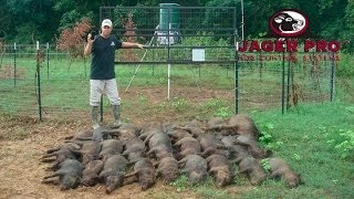 Wild Hog Trapping  17 MINE™ Trapping System before June Planting  JAGER PRO™ [upl. by Baptist]