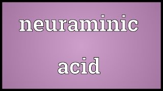 Neuraminic acid Meaning [upl. by Matthei]