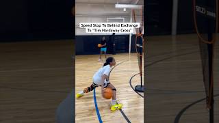 Speed Stop To Behind The Back Exchange To “Tim Hardaway Crossover” basketball hooping hoops [upl. by Heyra]