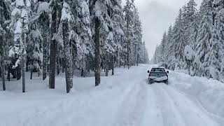 Oregon  Olallie Lake snow run  March 2024 [upl. by Minnnie]