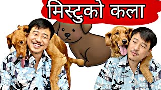 अलिश र मिस्टूको कला  alish rai and mistu  alish rai funnycomedy video  golden retriever [upl. by Nytram957]