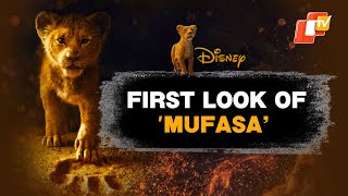 Mufasa  The Lion King Trailer Disney Drops First Look Of Prequel Story [upl. by Omiseno992]