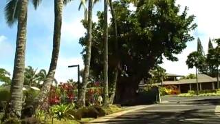 Hanalei Bay Resort in Princeville [upl. by Lias]