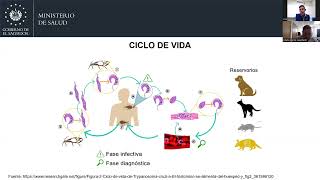 Diagnóstico de laboratorio en enfermedad de chagas [upl. by Baiel]