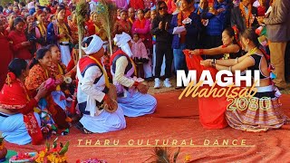 Magh Tharu Cultural Dance Ghorahi  2080  Maghi  Tharu Naach  Mela  saugatgamuwa [upl. by Medwin]