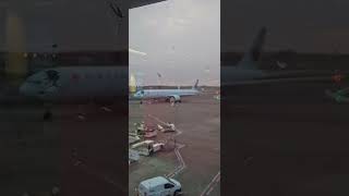 Air Canada plane anchor It is busy at Brussels shortvideo [upl. by Bertelli]