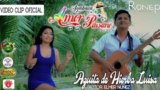 AMOR PAISANO🌟AGÜITA DE HIERBA LUISA ESTRENO 2018 VIDEO CLIP OFICIAL RONEP PRODUCCIONES HD [upl. by Torbart984]