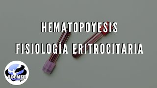 Hematopoyesis Fisiología Eritrocitaria [upl. by Assile]