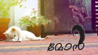 നായിന്റെ മോന്‍  NAAYINTE MON malayalam short film [upl. by Chally923]