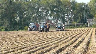 Aardappelrooien 2011 met NewHolland 8340 en TSA 135 met AMAC AXL2 aardappelrooier en Beco Kipper [upl. by Kassity235]