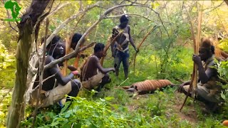 Dangerous Tribe In Africa Hadzabe Hunter Gatherers Lifestyle Part 2 Ethiopia Tribe tribelifeMost [upl. by Inaniel]