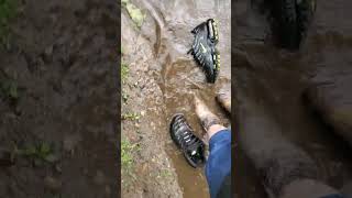 muddy dog Walk with Nike airmax plus tn [upl. by Neehahs882]