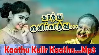 Kaathu kulir kaathu Mp3 song காத்து குளிர் காத்து  aatumanthai spbsongs tamilhitsongs [upl. by Kina]