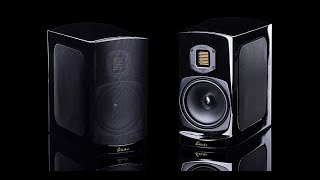 REVIEW The GoldenEar Technology BRX Speaker [upl. by Zacek100]