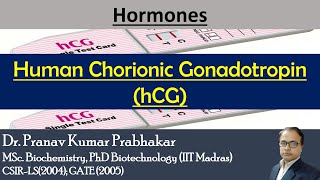 Human Chorionic Gonadotropin hCG clinicalbiochemistry pkprabhakar [upl. by Anerys]