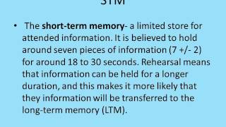 Cognitive psychology Multi store model [upl. by Ronen]