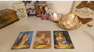 ✨🦋¿Qué PIENSA DE TI¿CÓMO TE VE🦋✨ Tarot interactivo [upl. by Nnaesor645]