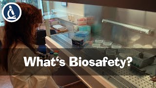 What are the four Biosafety Levels BSL [upl. by Andromeda]