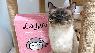 Lady N Tofu Cat Litter Review  Why we switch from Bentonite Litter to Tofu Litter [upl. by Edorej]