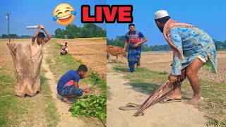 very amazing funny video live top funnniest comedy live 2024 [upl. by Kinny]